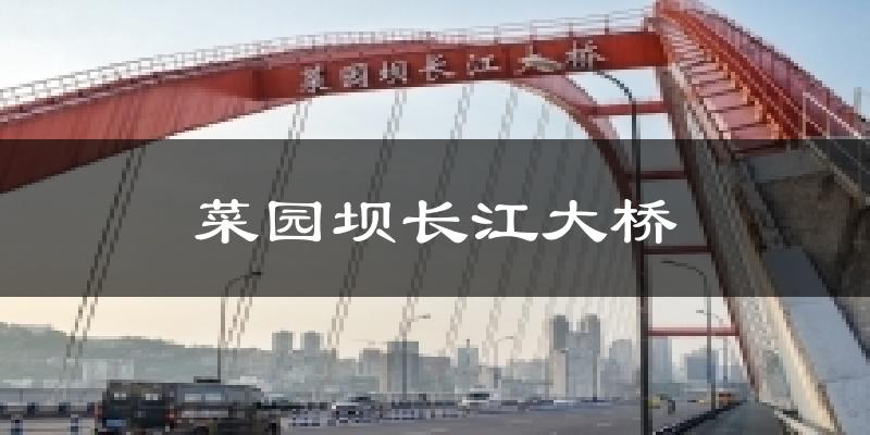 菜园坝长江大桥今日天气