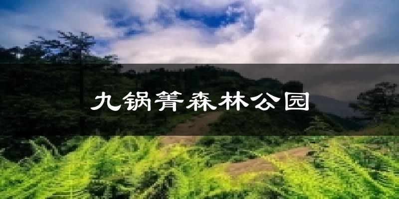 九锅箐森林公园今日天气