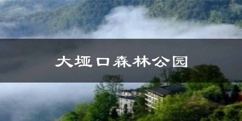 大垭口森林公园天气预报十五天
