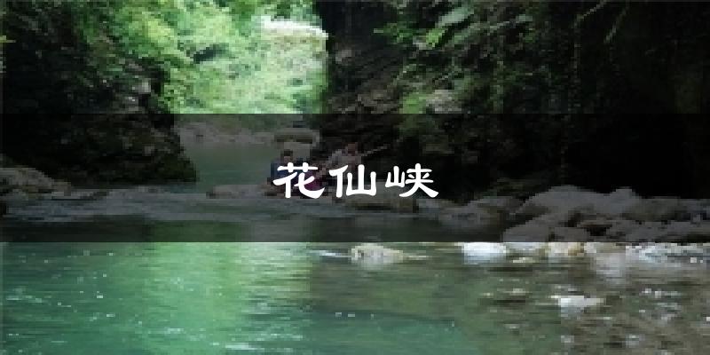 花仙峡今日天气