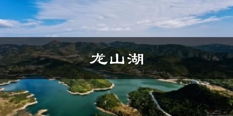 龙山湖今日天气