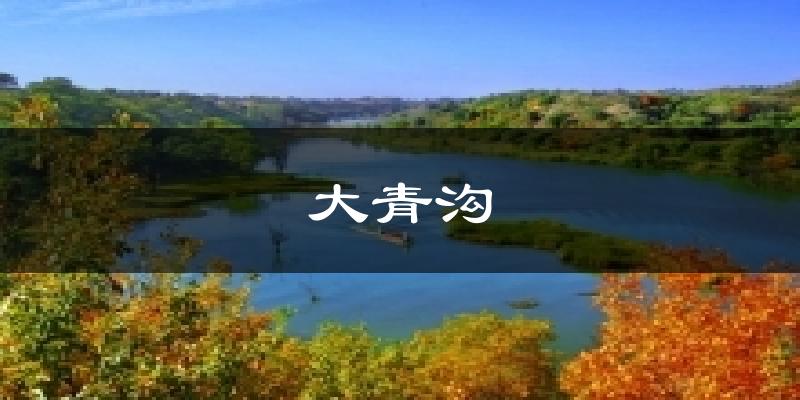 大青沟天气预报十五天
