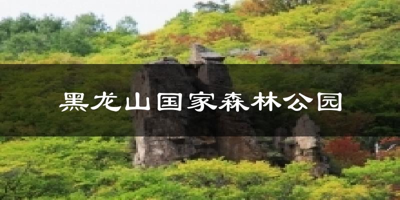 黑龙山国家森林公园今日天气