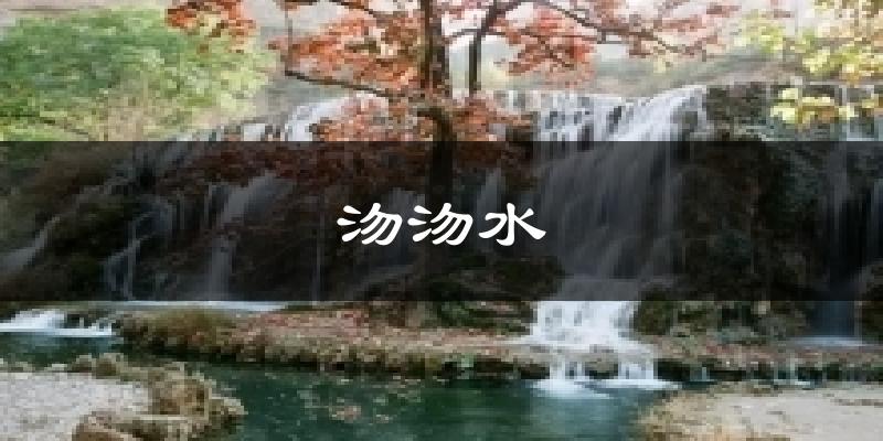 沕沕水今日天气