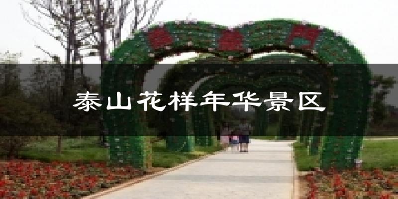 泰安泰山花样年华景区天气预报未来一周