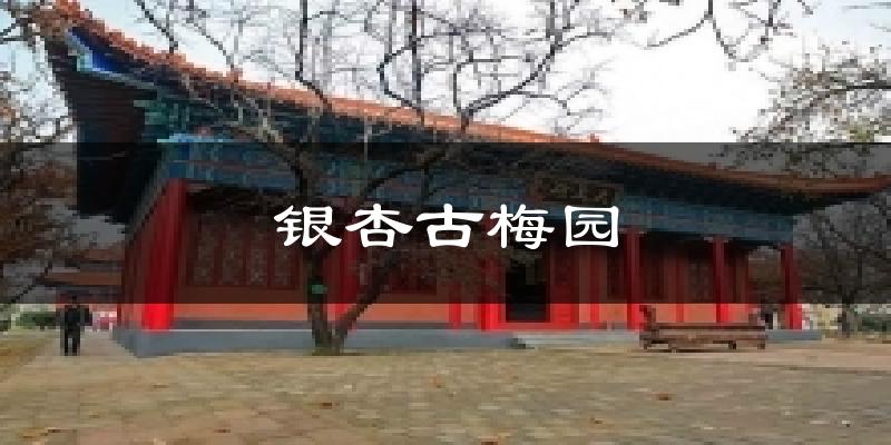 郯城银杏古梅园天气预报未来一周