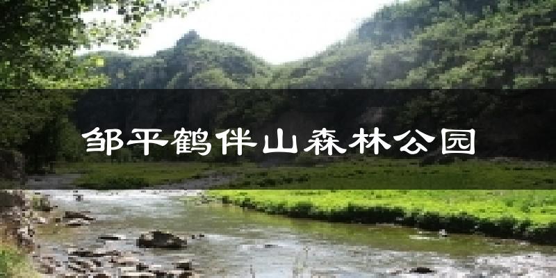 邹平邹平鹤伴山森林公园天气预报未来一周