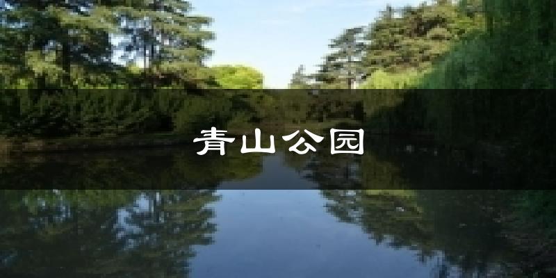 青山公园今日天气