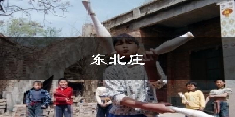 濮阳东北庄天气预报未来一周