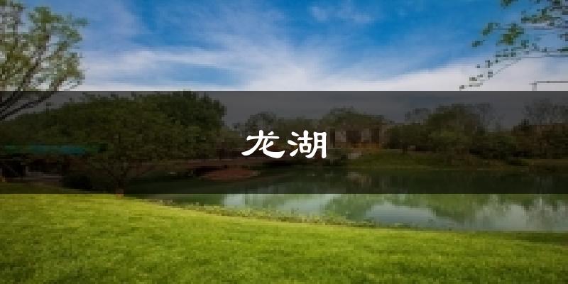 龙湖天气预报十五天