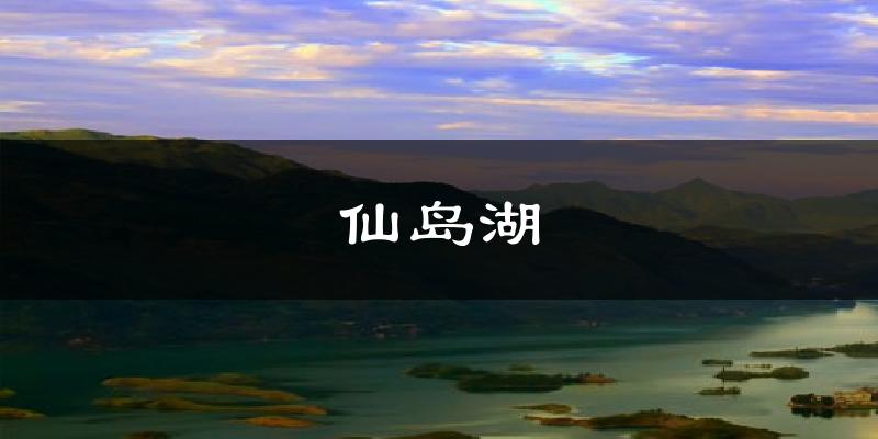 仙岛湖今日天气