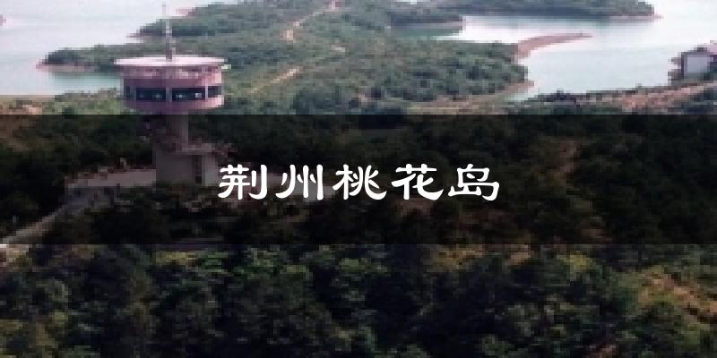 荆州桃花岛今日天气