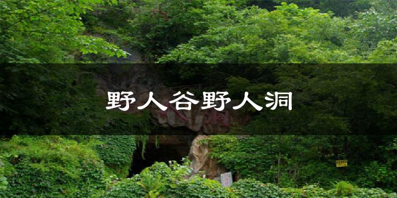 野人谷野人洞今日天气