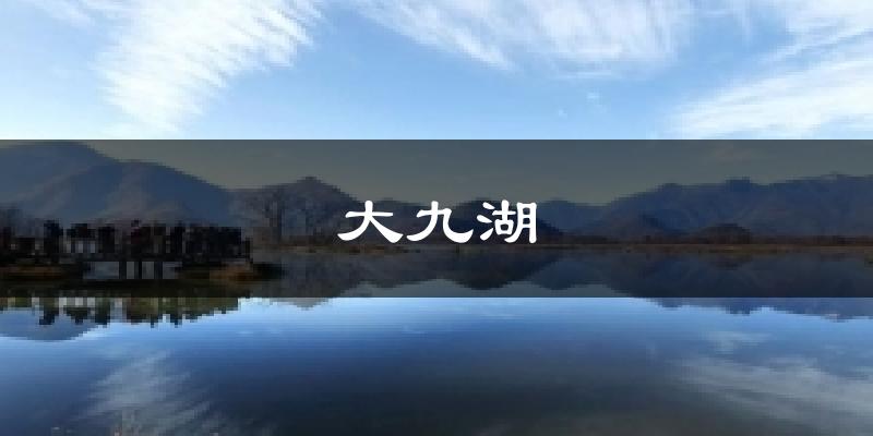 大九湖今日天气