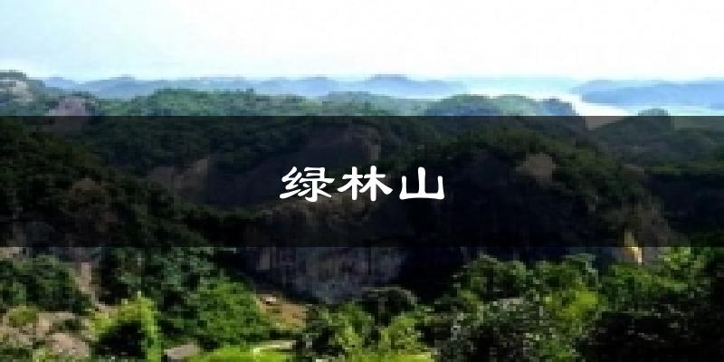 绿林山今日天气