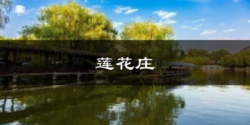 湖州莲花庄天气预报未来一周