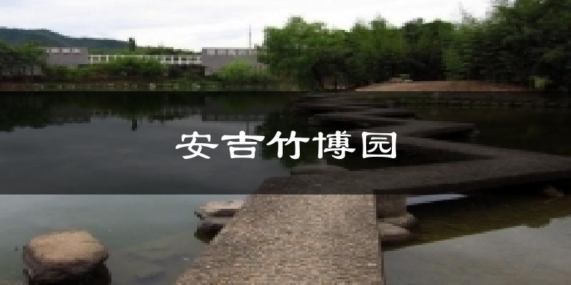 安吉竹博园今日天气