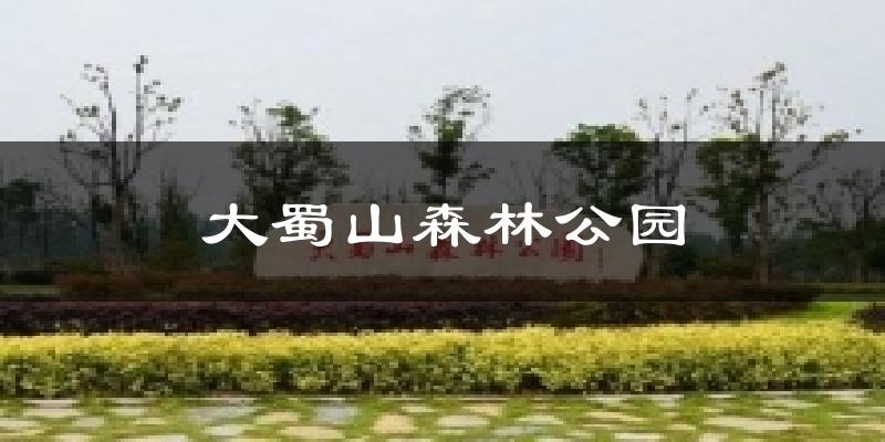 大蜀山森林公园今日天气