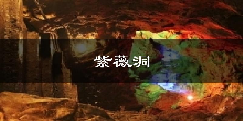 紫薇洞今日天气