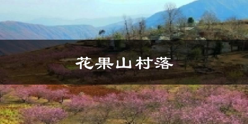 花果山村落气温