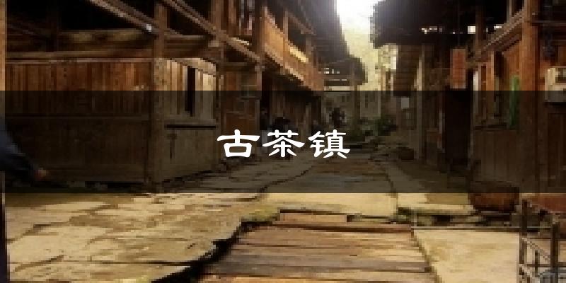 淮北古茶镇天气预报未来一周