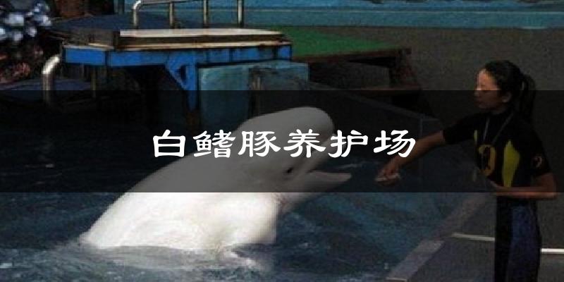 白鳍豚养护场今日天气