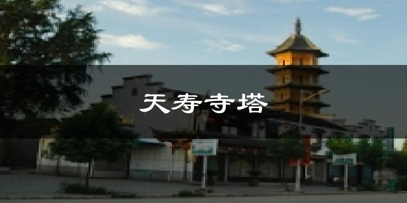 天寿寺塔今日天气