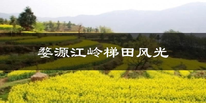 婺源婺源江岭梯田风光天气预报未来一周