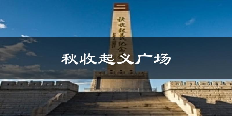 秋收起义广场今日天气