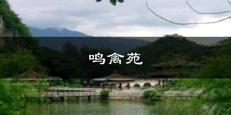 鸣禽苑天气预报十五天