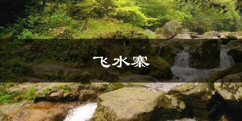 飞水寨天气预报十五天