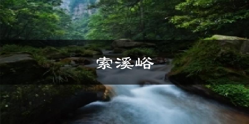 索溪峪今日天气