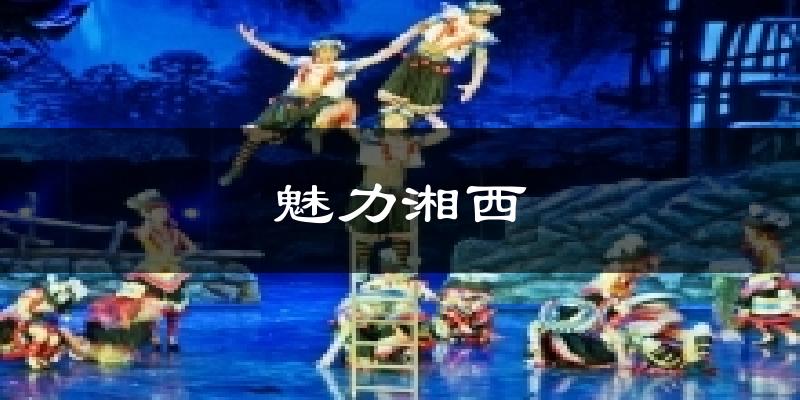 魅力湘西今日天气