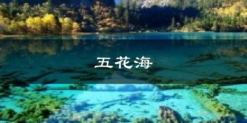 五花海天气预报十五天