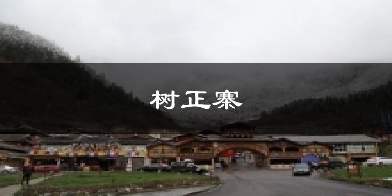树正寨天气预报十五天