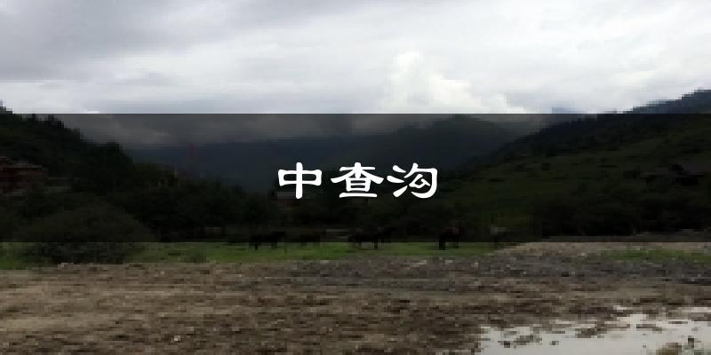 中查沟天气预报十五天