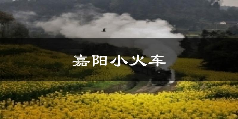 嘉阳小火车天气预报十五天