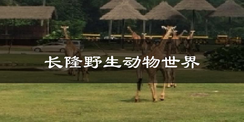 长隆野生动物世界今日天气
