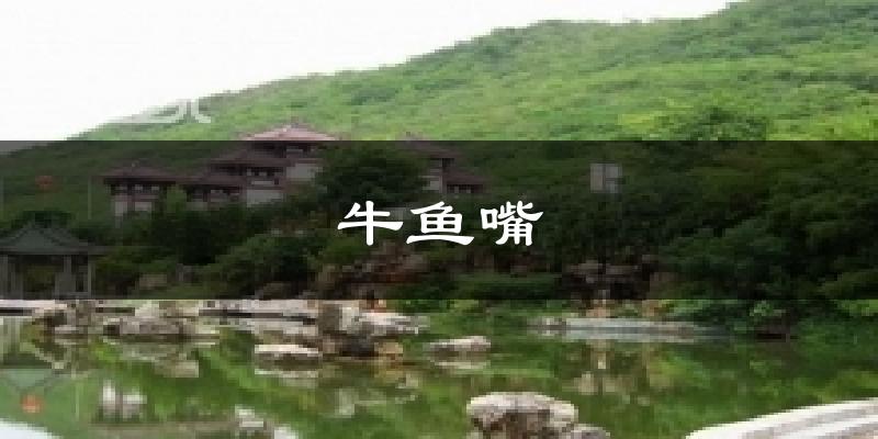 清远牛鱼嘴天气预报未来一周
