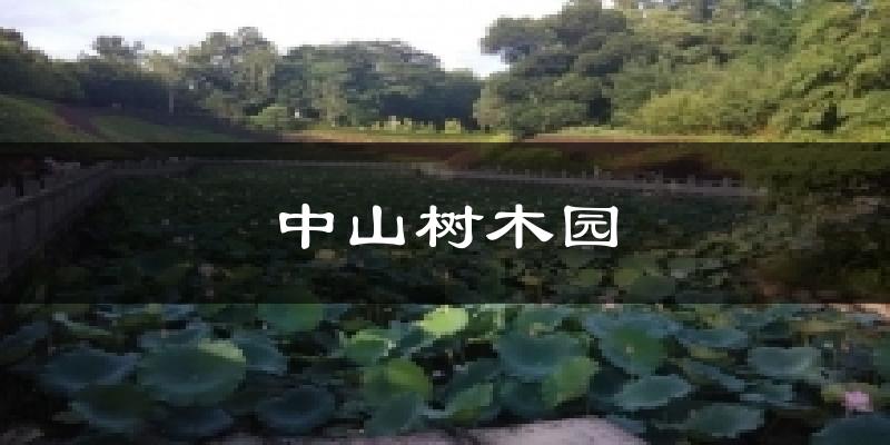 中山中山树木园天气预报未来一周