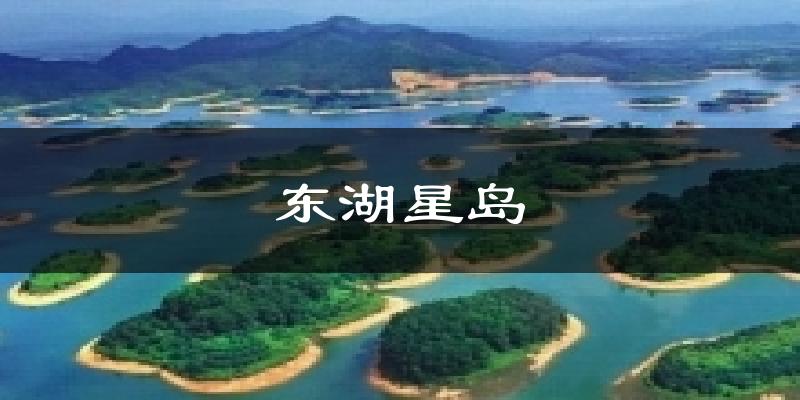 阳江东湖星岛天气预报未来一周