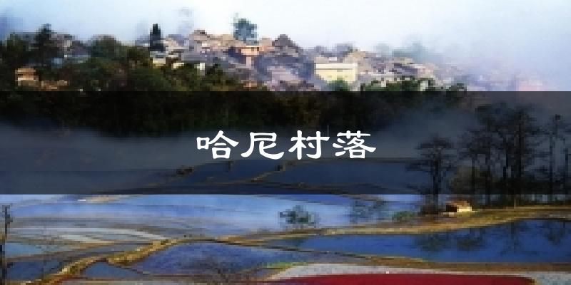 哈尼村落今日天气