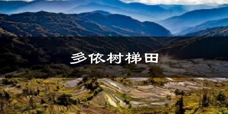 元阳多依树梯田天气预报未来一周