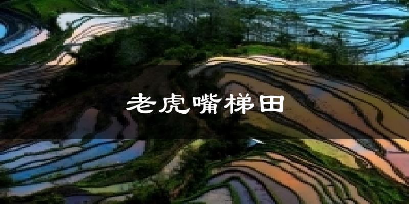 老虎嘴梯田今日天气