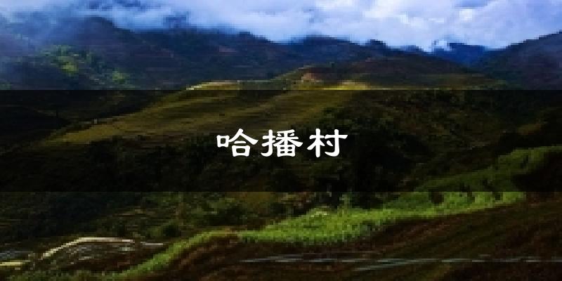 哈播村今日天气