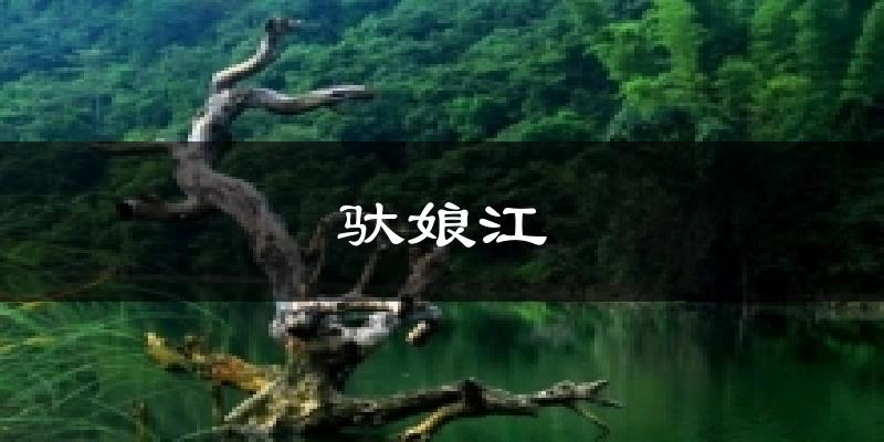 富宁驮娘江天气预报未来一周