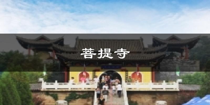 菩提寺今日天气