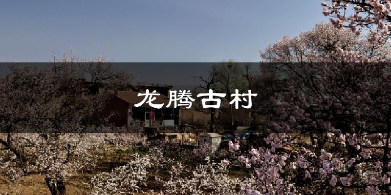 金秀龙腾古村天气预报未来一周