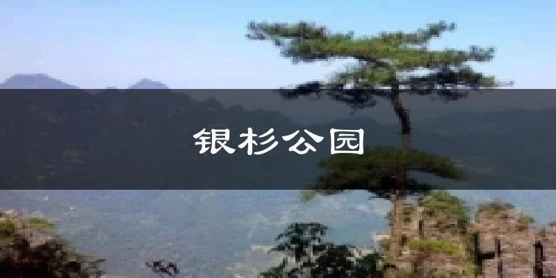 银杉公园天气预报十五天