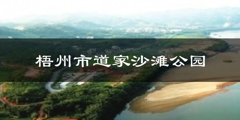 梧州市道家沙滩公园今日天气